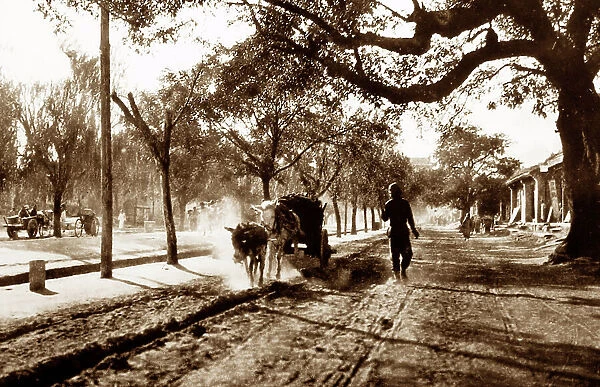 The Old Cart Road, Beijing, China, early 1900s