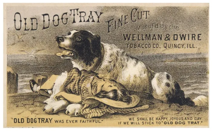 Framed Print : OLD DOG TRAY Framed Print : OLD DOG TRAY
