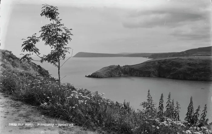 Framed Print : Old Fort at Fishguard Framed Print : Old Fort at Fishguard