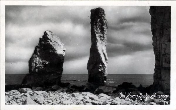 Old Harry Rocks, Swanage, Dorset