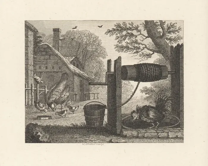 Framed Print : The Old Hen and the Cock Framed Print : The Old Hen and the Cock
