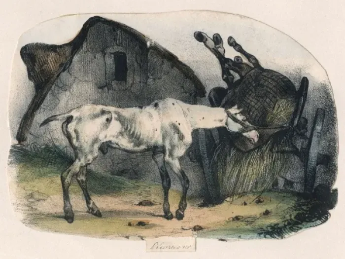 Framed Print : The Old Horse Framed Print : The Old Horse