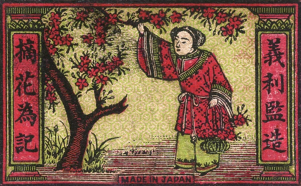 Old Japanese Matchbox label with cherry blossom