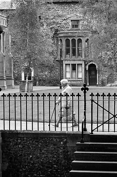 Old lady passes railings, Abbey Gardens, Bury St Edmunds