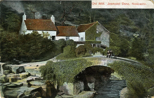 The Old Mill, Jesmond Dene, County Durham
