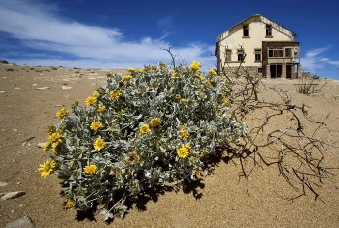 Framed Print : Old Mining Town near Luderitz called Ghost Town Framed Print : Old Mining Town near Luderitz called Ghost Town