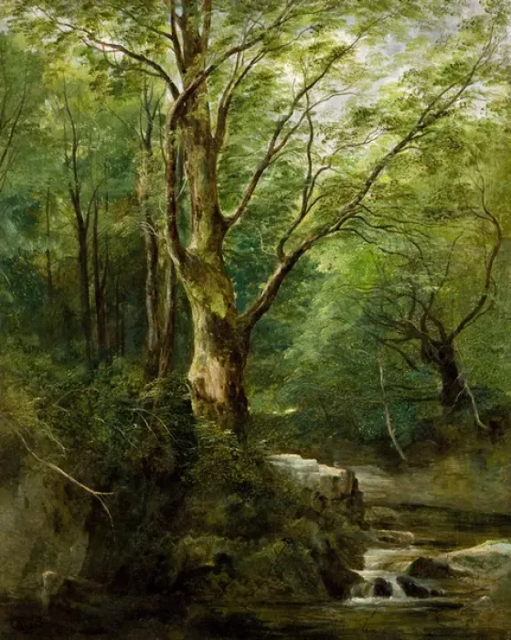 Framed Print : The Old Tree in the Glen ? June Framed Print : The Old Tree in the Glen ? June