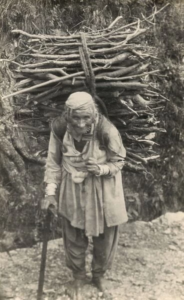 Old Woman carrying firewood - Northern India