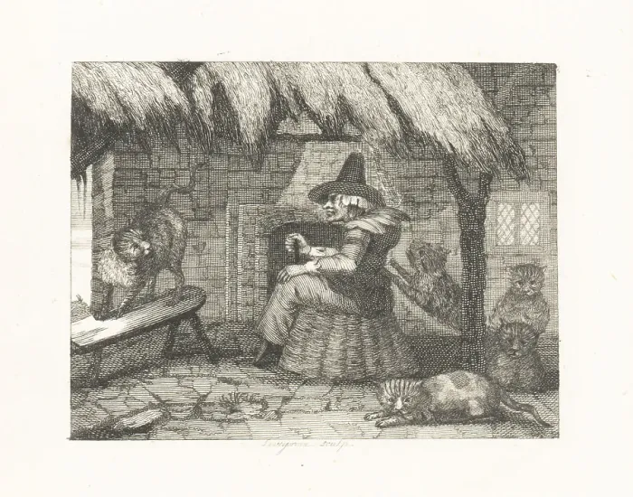 Framed Print : The Old Woman and her Cats Framed Print : The Old Woman and her Cats