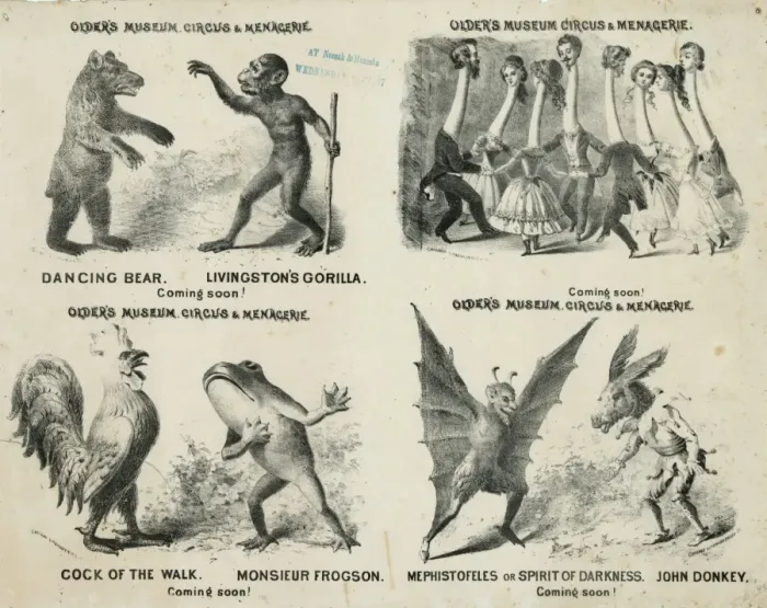 Framed Print : Olders museum, circus & menagerie Framed Print : Olders museum, circus & menagerie