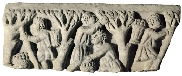 Framed Print : Olive harvest. Fragment of bas relief. Late 3rd Framed Print : Olive harvest. Fragment of bas relief. Late 3rd