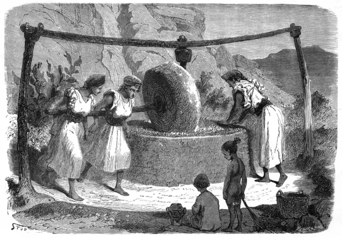 Framed Print : Olive Oil mill Framed Print : Olive Oil mill