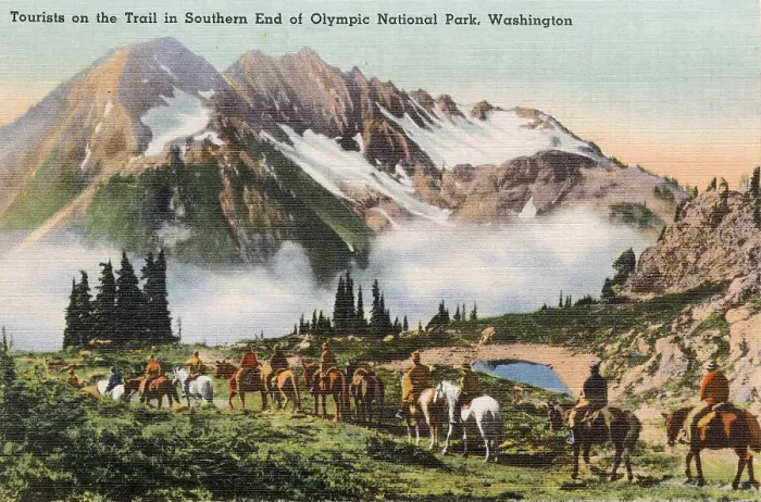 Framed Print : Olympic National Park (southern end), Washington State, USA - tourists on the trail on horseback Date: circa 1940 Framed Print : Olympic National Park (southern end), Washington State, USA - tourists on the trail on horseback Date: circa 1940