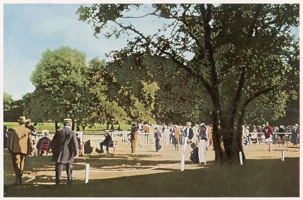 Olympics  /  Paris 1900 Bois