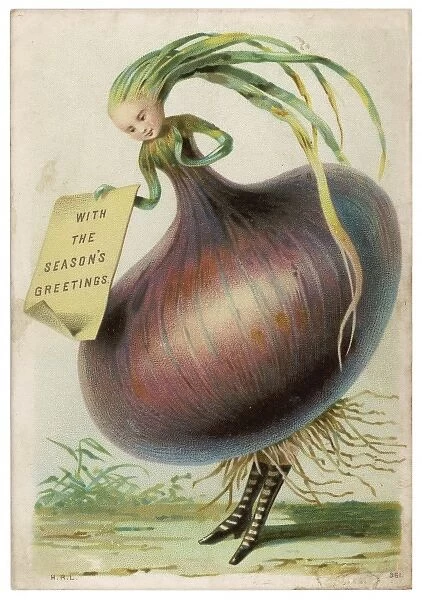 Onion Christmas Card