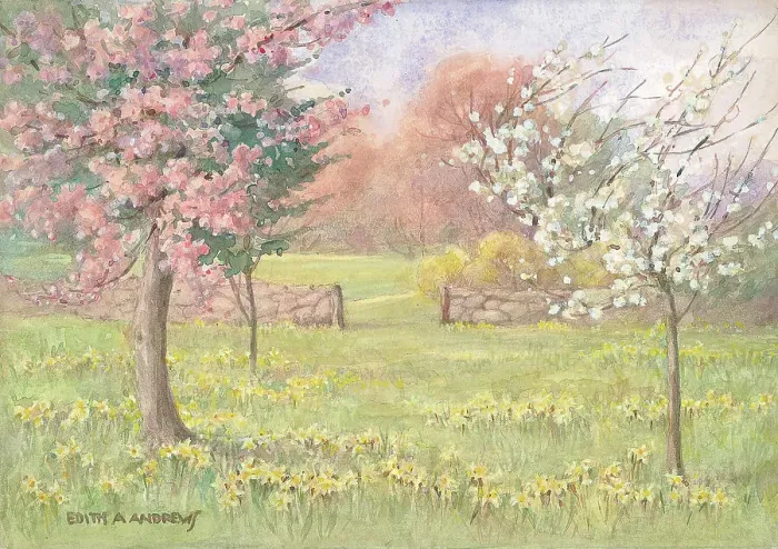 Framed Print : Orchard with Daffodils - Gardens Framed Print : Orchard with Daffodils - Gardens