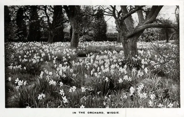Framed Print : In the Orchard, Wiggie, Surrey Framed Print : In the Orchard, Wiggie, Surrey