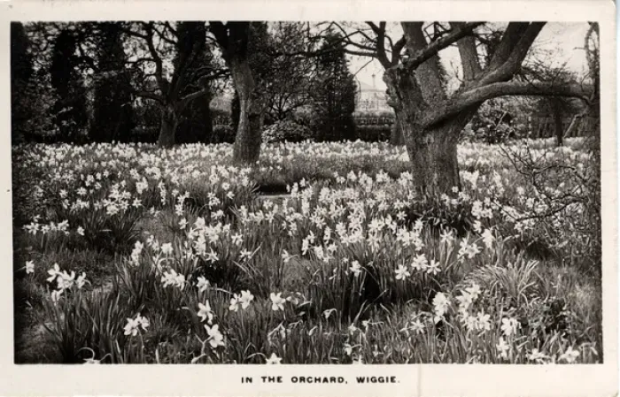Framed Print : The Orchard, Wiggie, Surrey Framed Print : The Orchard, Wiggie, Surrey