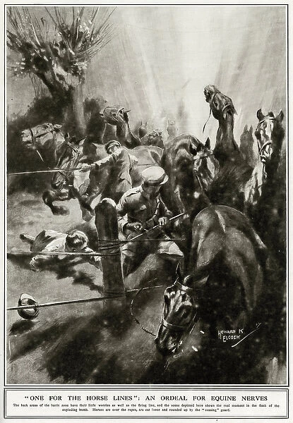 Ordeal for horses on the Western Front, 1917