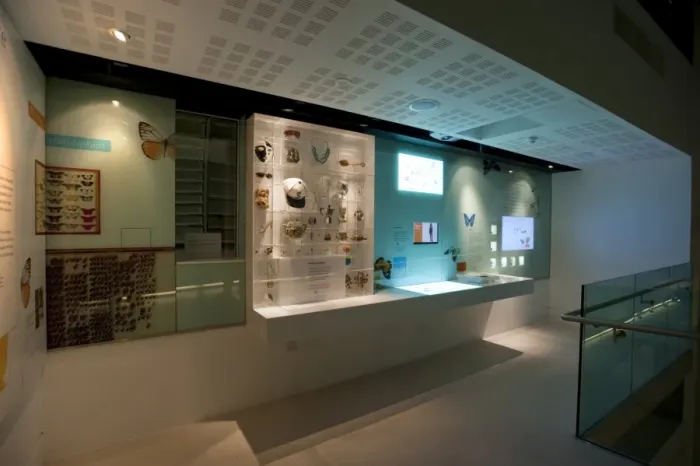 Framed Print : Organising nature section in Cocoon Framed Print : Organising nature section in Cocoon