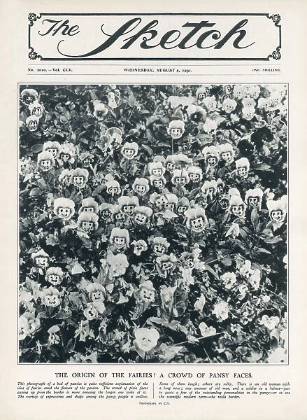 The Origin of the Fairies - A Crowd of Pansy Faces. Date: 1931