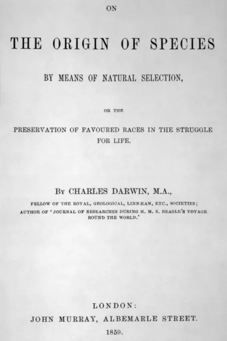Framed Print : On the Origin of Species Framed Print : On the Origin of Species