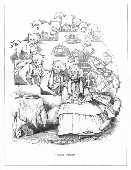 Framed Print : Origin Species, CH Bennett, Cat - Old Maid Framed Print : Origin Species, CH Bennett, Cat - Old Maid