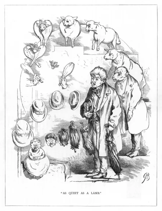 Framed Print : Origin Species, CH Bennett, Quiet man - lamb Framed Print : Origin Species, CH Bennett, Quiet man - lamb