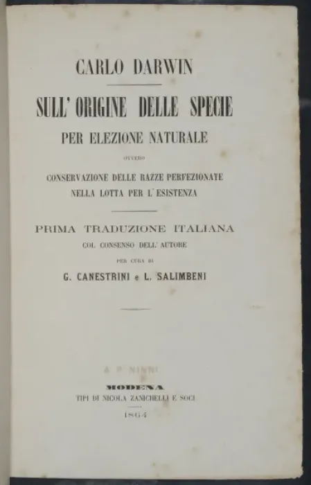 Framed Print : The Origin of Species title page - Italian version Framed Print : The Origin of Species title page - Italian version