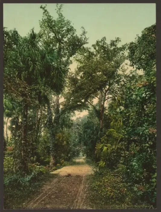 Framed Print : In the Ormond Hammock Framed Print : In the Ormond Hammock