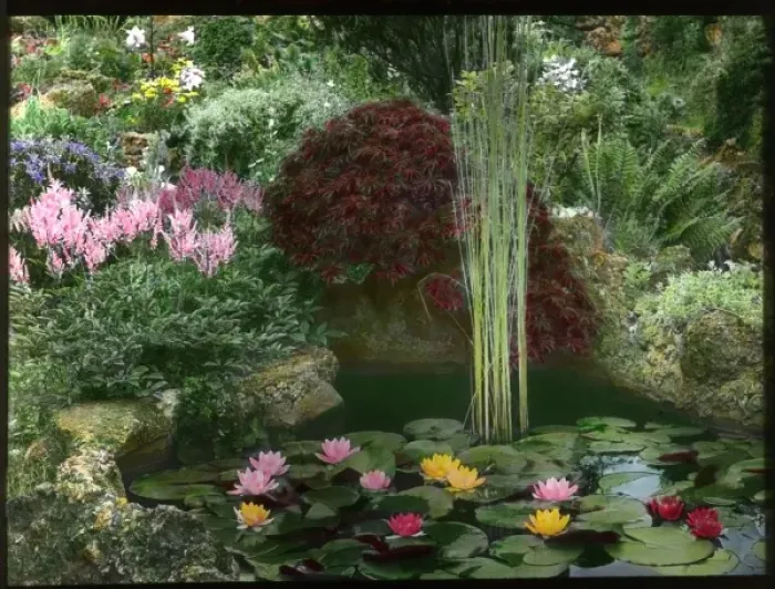 Framed Print : Ornamental pond in a garden Framed Print : Ornamental pond in a garden