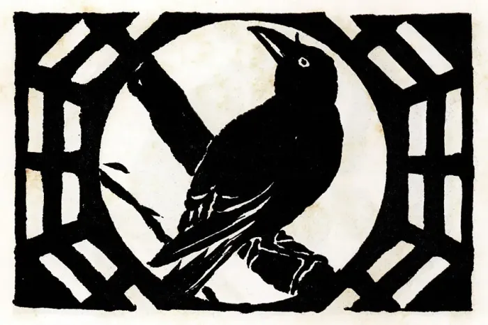 Framed Print : The Ornithologist of Cobbitty Framed Print : The Ornithologist of Cobbitty