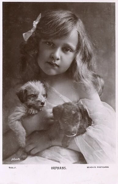 Orphans - Young girl and two little tiny puppies