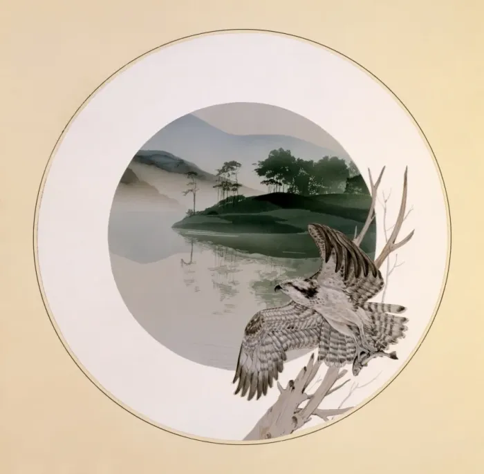 Framed Print : Osprey taking flight Framed Print : Osprey taking flight