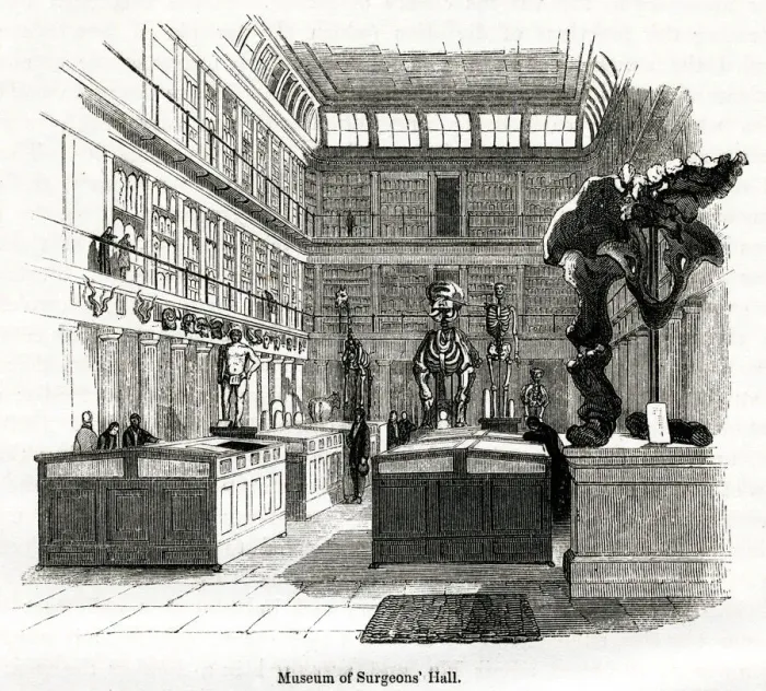 Framed Print : Osteological room in College of Surgeons 1880s Framed Print : Osteological room in College of Surgeons 1880s
