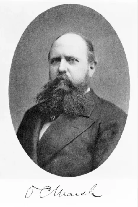 Framed Print : Othniel Charles Marsh (1831-1899) Framed Print : Othniel Charles Marsh (1831-1899)