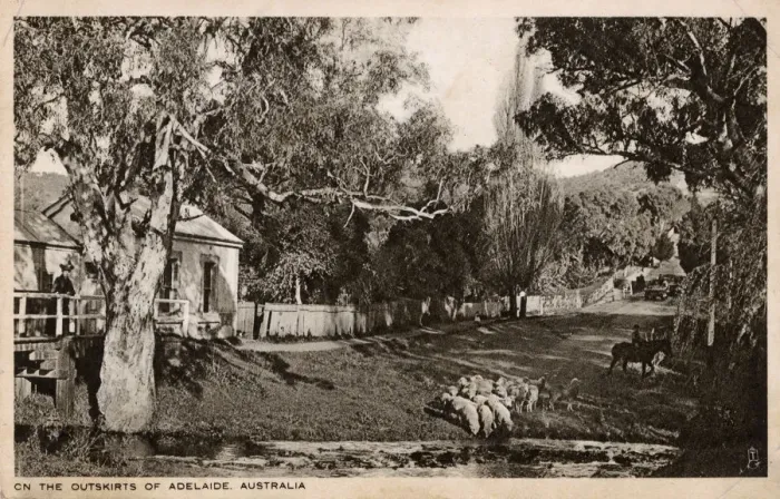 Framed Print : On the outskirts of Adelaide, Australia Framed Print : On the outskirts of Adelaide, Australia