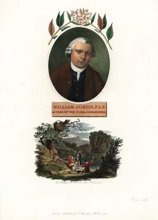 Framed Print : Oval portrait of William Curtis, botanist and publisher Framed Print : Oval portrait of William Curtis, botanist and publisher