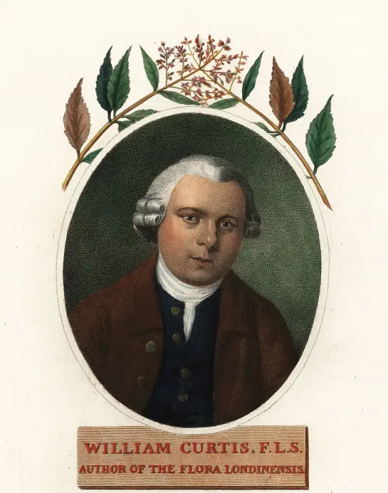 Framed Print : Oval portrait of William Curtis, botanist and publisher Framed Print : Oval portrait of William Curtis, botanist and publisher