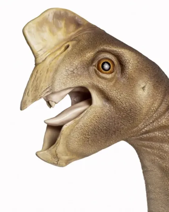 Framed Print : Oviraptors jaw was designed to exert great pressure Framed Print : Oviraptors jaw was designed to exert great pressure