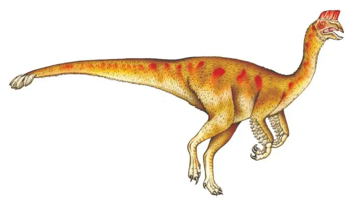 Framed Print : Oviraptor. This dinosaur is belived to have been an egg thief Framed Print : Oviraptor. This dinosaur is belived to have been an egg thief