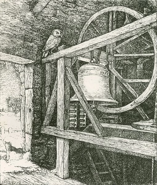 Owl in Clock Tower by J. E. Millais