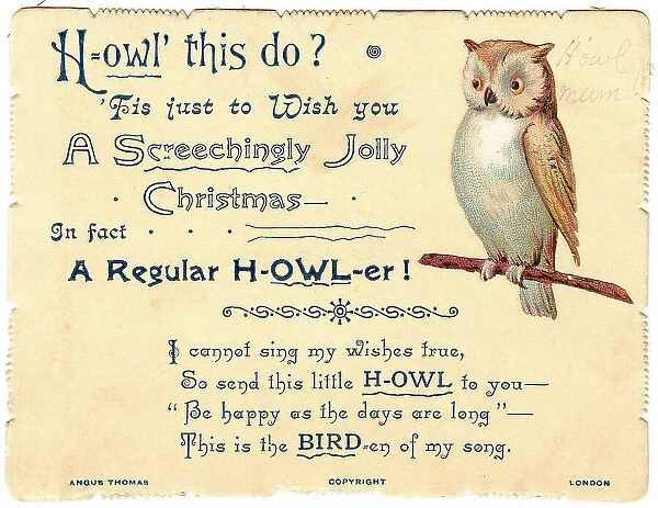 Owl with comic verse on a Christmas card