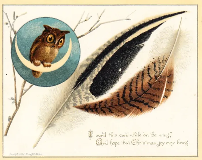 Framed Print : Owl on crescent moon on a Christmas card Framed Print : Owl on crescent moon on a Christmas card