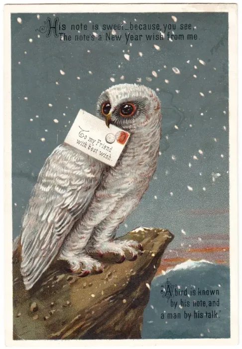Framed Print : Owl on a New Year card Framed Print : Owl on a New Year card