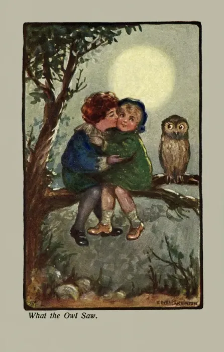 Framed Print : What the owl saw Framed Print : What the owl saw