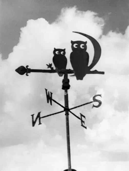 Framed Print : Owl Weathervane Framed Print : Owl Weathervane