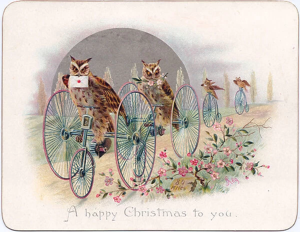 Four owls on a Christmas card