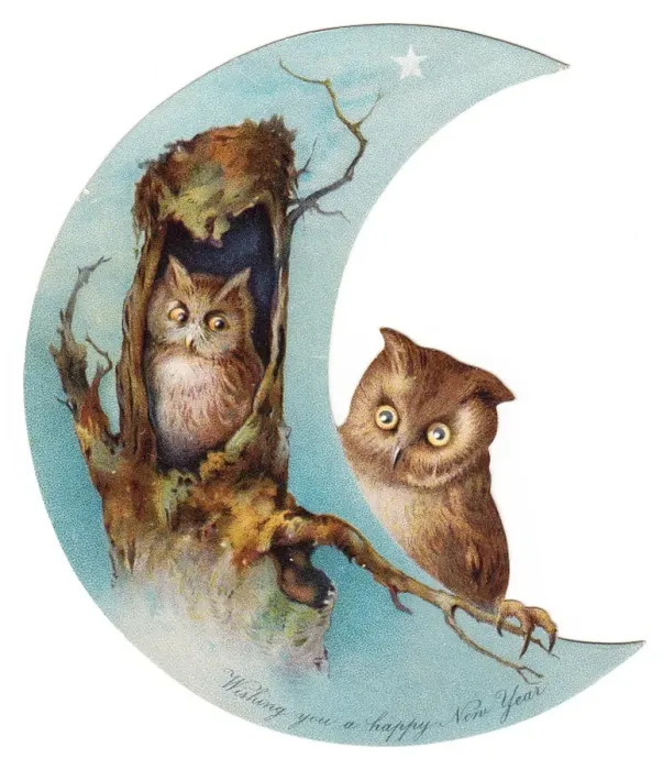 Framed Print : Two owls on crescent-shaped New Year card Framed Print : Two owls on crescent-shaped New Year card