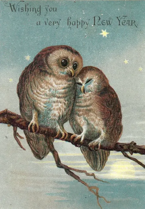 Framed Print : Two owls on a New Year card Framed Print : Two owls on a New Year card